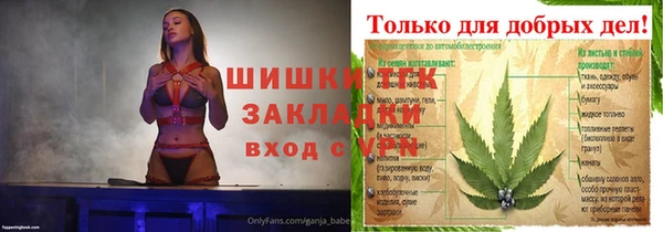 ешки Ельня