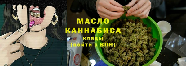 ешки Ельня